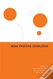 Capa do artigo Work Process Knowledge
