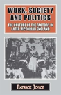 Work, Society And Politics - Preview