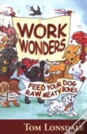 Capa do artigo Work Wonders