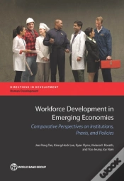 Capa do artigo Workforce Development In Emerging Economies