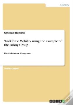 Capa do artigo Workforce Mobility Using The Example Of The Solvay Group