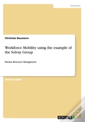 Capa do artigo Workforce Mobility Using The Example Of The Solvay Group