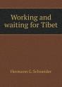 Working And Waiting For Tibet - Preview