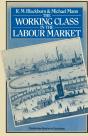 Working Class In The Labour Market - Preview