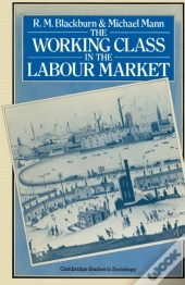 Working Class In The Labour Market