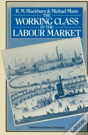 Capa do artigo Working Class In The Labour Market