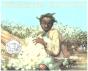 Working Cotton - Preview