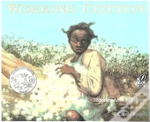 Working Cotton