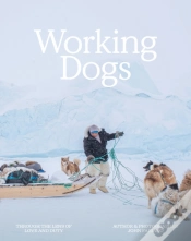 Capa do artigo Working Dogs