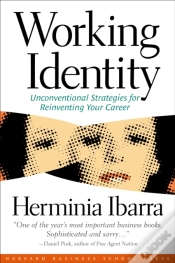 Capa do artigo Working Identity