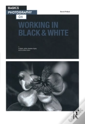 Capa do artigo Working In Black & White