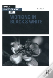 Capa do artigo Working In Black & White