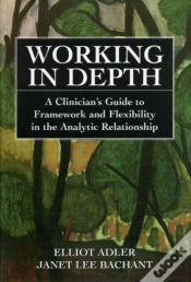 Capa do artigo Working In Depth