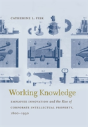 Working Knowledge - Preview