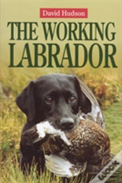 Capa do artigo Working Labrador