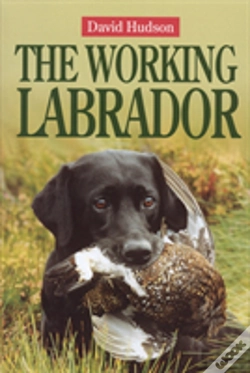 Capa do artigo Working Labrador