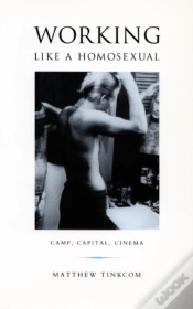 Capa do artigo Working Like A Homosexual