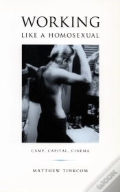 Capa do artigo Working Like A Homosexual