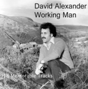 Capa do artigo Working Man - CD