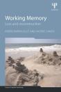 Working Memory - Preview