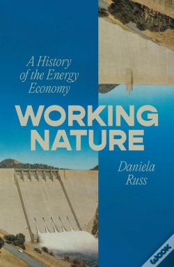 Capa do artigo Working Nature
