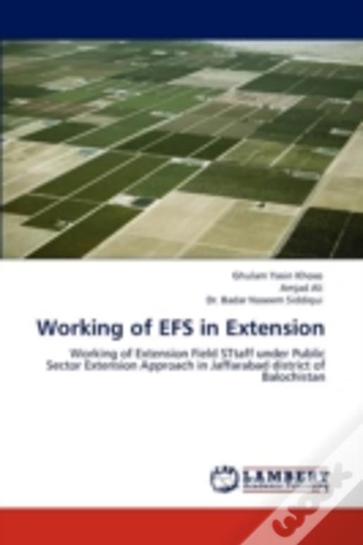 Working Of Efs In Extension