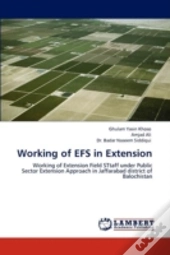Working Of Efs In Extension