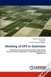 Capa do artigo Working Of Efs In Extension