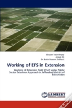 Capa do artigo Working Of Efs In Extension