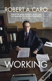 Capa do artigo Working