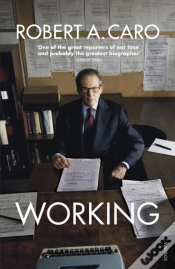 Capa do artigo Working