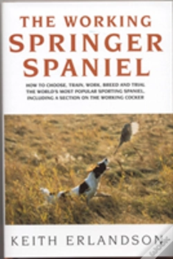 Capa do artigo Working Springer Spaniel