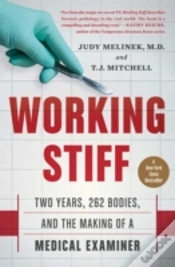 Capa do artigo Working Stiff
