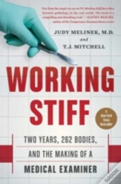 Capa do artigo Working Stiff