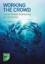 Working The Crowd - Preview