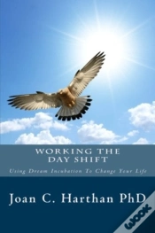 Capa do artigo Working The Day Shift