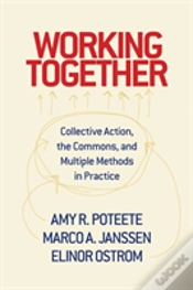 Capa do artigo Working Together