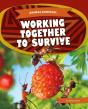 Working Together To Survive - Preview