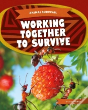 Capa do artigo Working Together To Survive