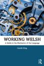 Working Welsh - Preview
