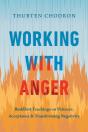 Working With Anger - Preview