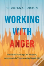 Capa do artigo Working With Anger