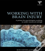Capa do artigo Working With Brain Injury