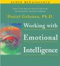 Working With Emotional Intelligence - Preview