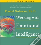 Working With Emotional Intelligence