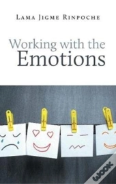 Working With The Emotions