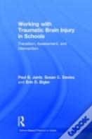 Working With Traumatic Brain Injury In Schools