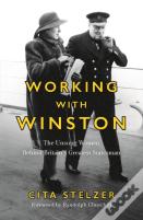 Working With Winston