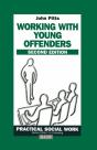 Working With Young Offenders - Preview