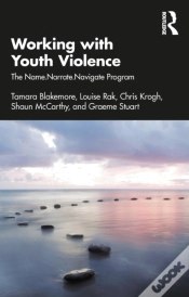 Capa do artigo Working With Youth Violence